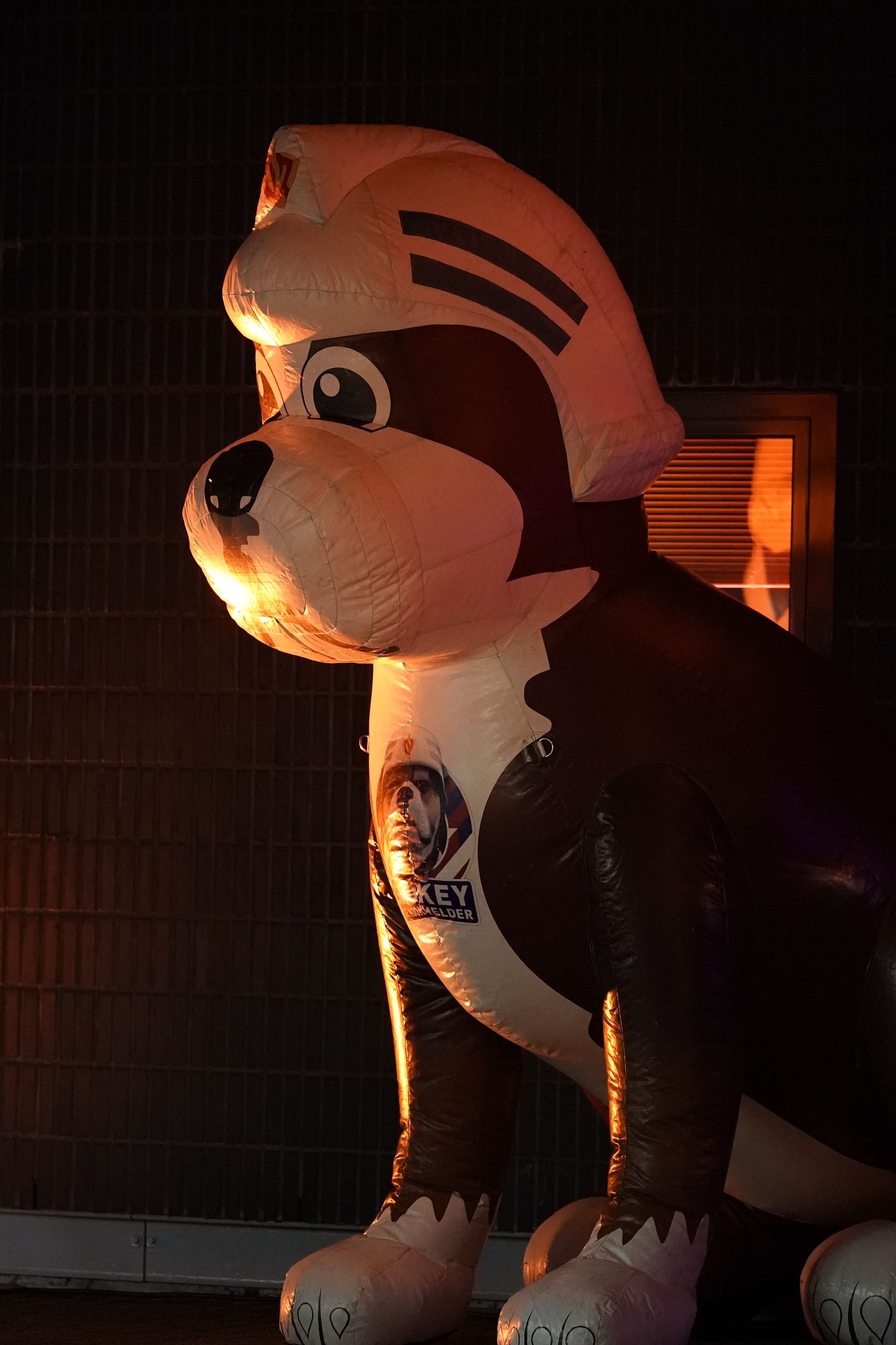 Midwintermarathon 2026 
©2026-Strikwerda Fotografie