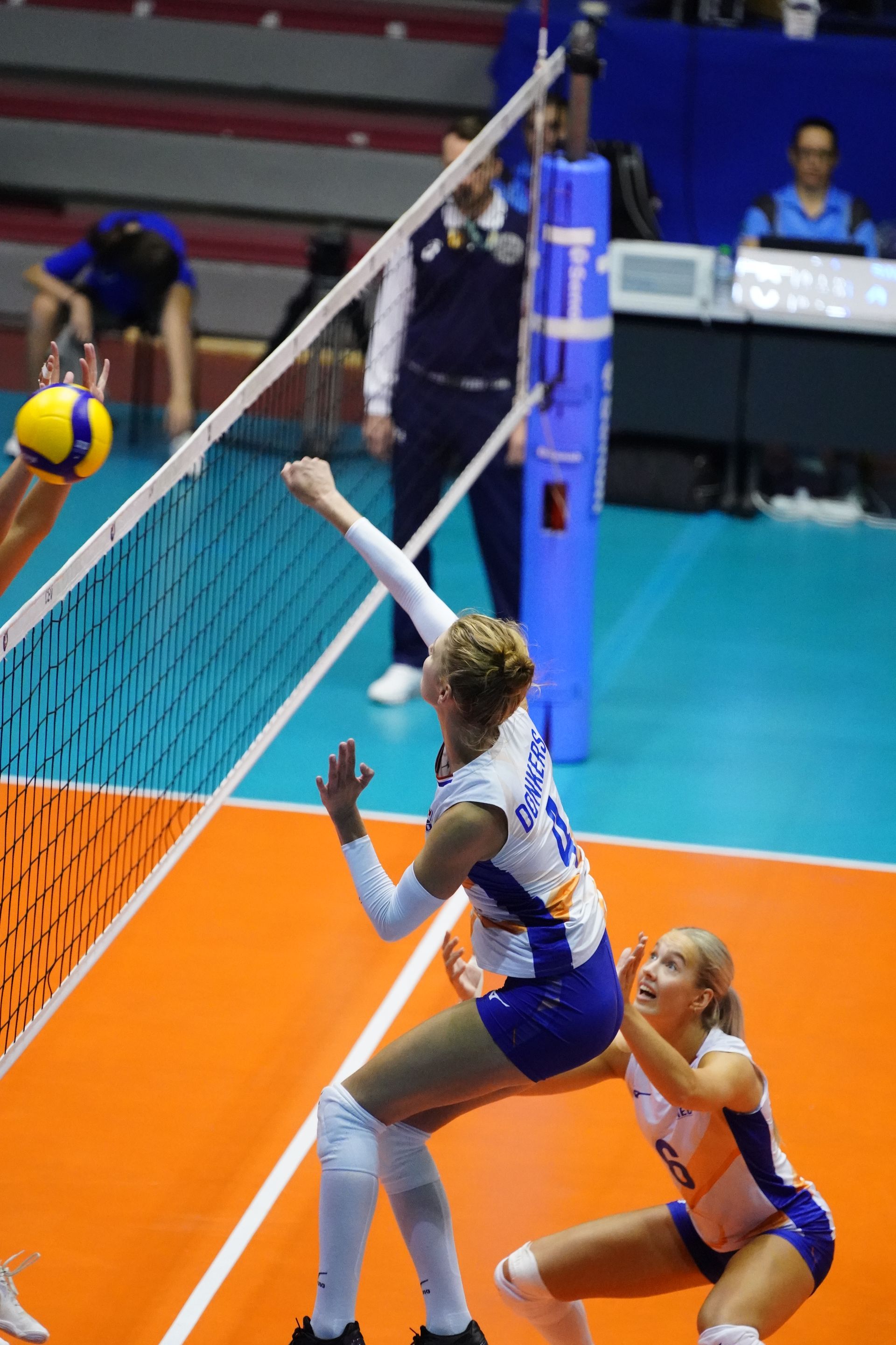 ©2026-Strikwerda Fotografie