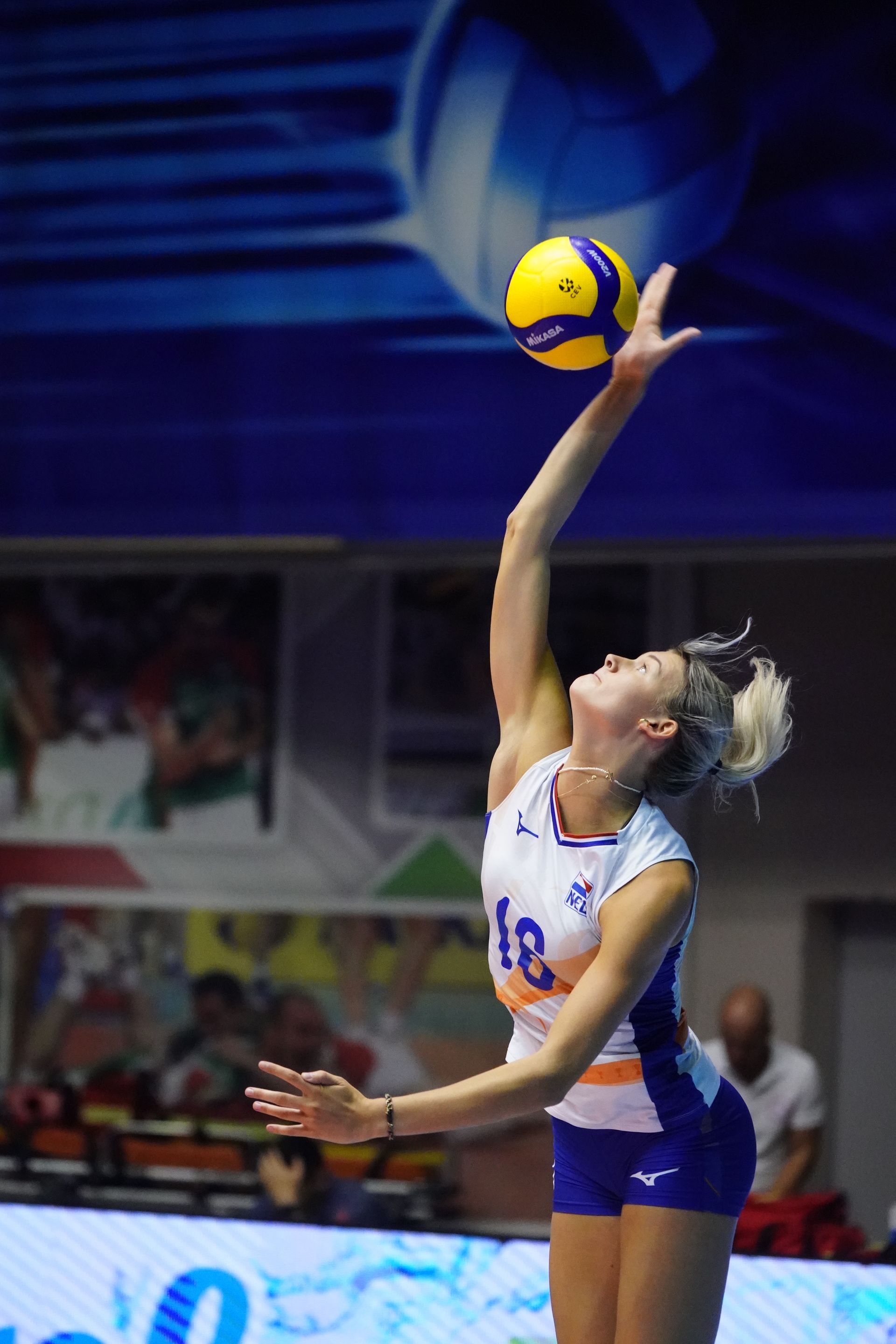 ©2026-Strikwerda Fotografie