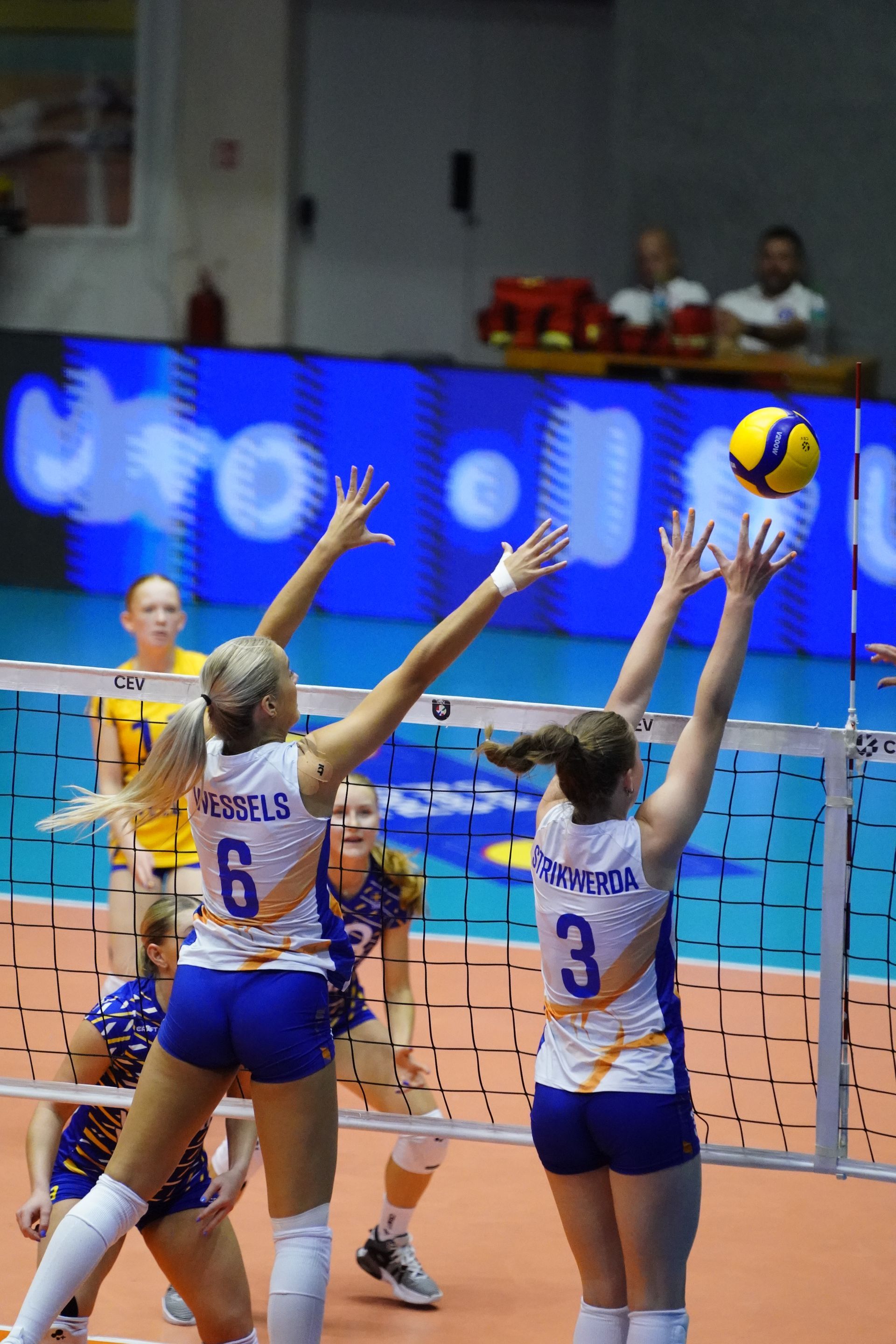 ©2026-Strikwerda Fotografie