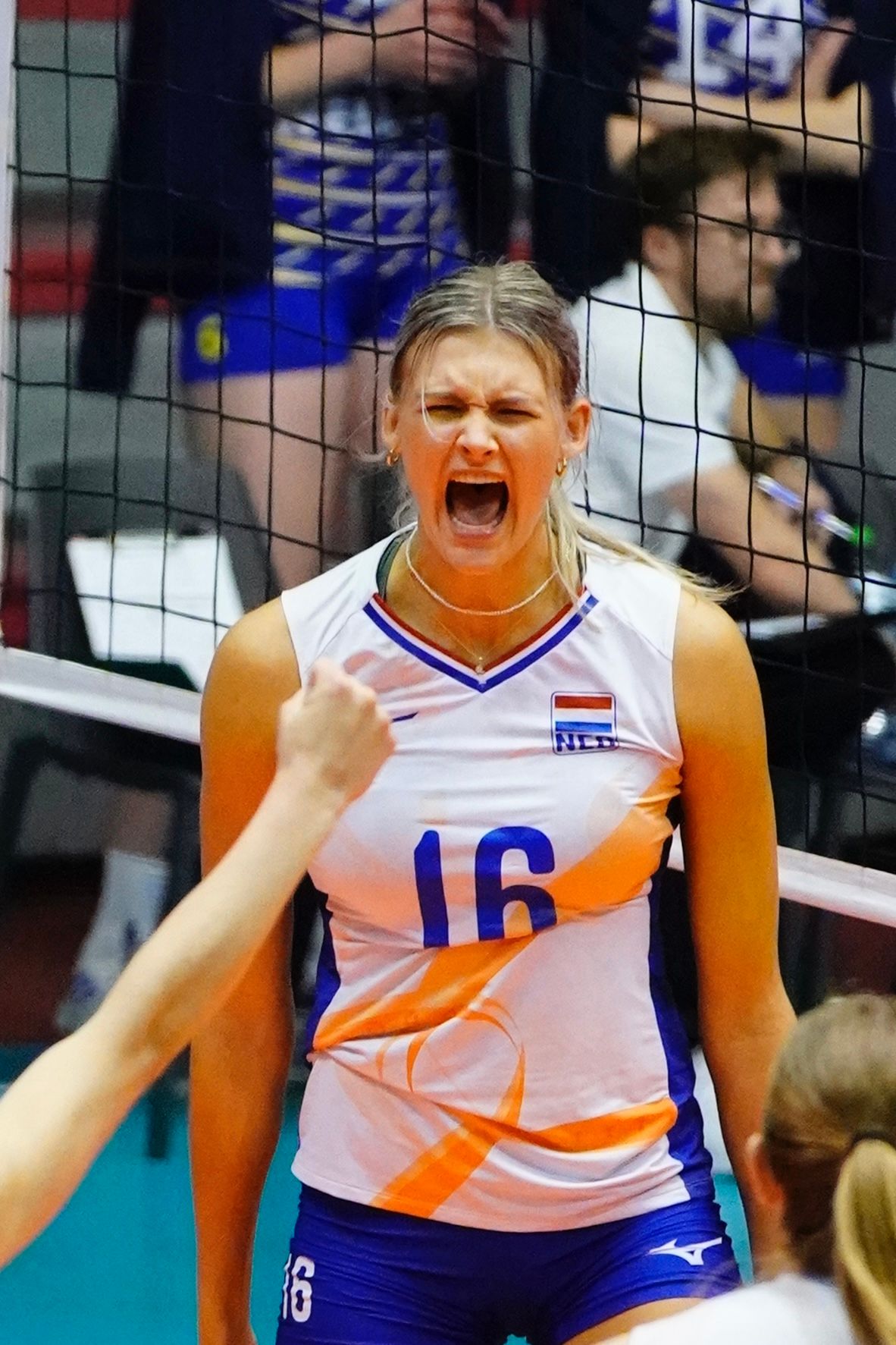 ©2026-Strikwerda Fotografie