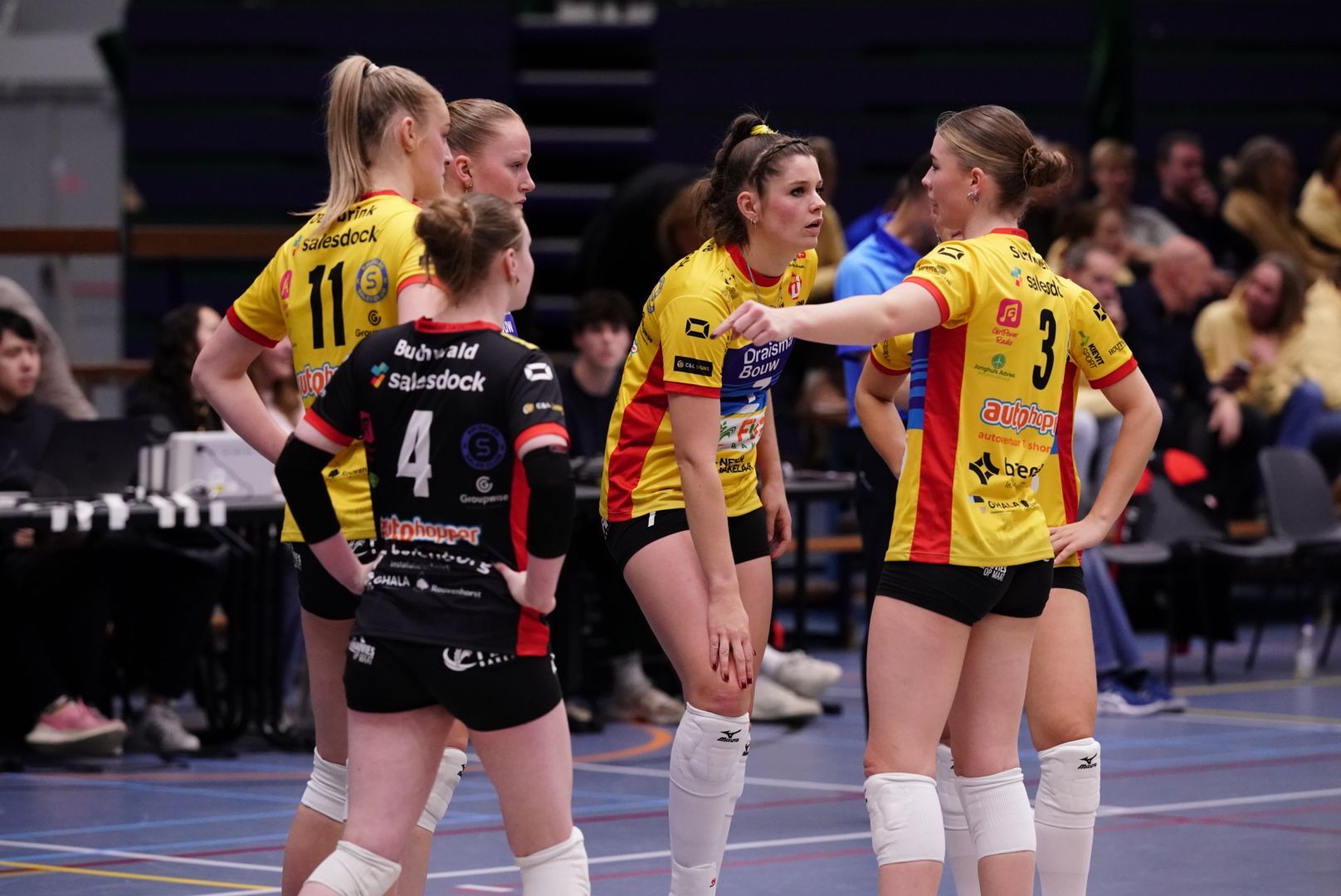 Nynke Hofstede #7
©2026-Strikwerda Fotografie
Eredivisie volleybal 
Nevobo