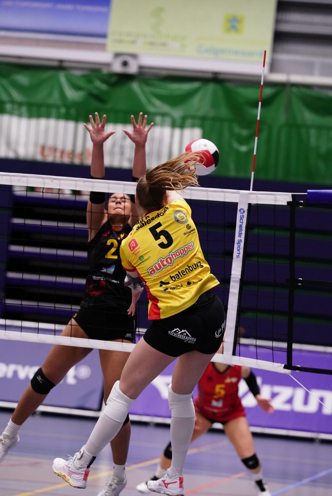 ©2026-Strikwerda Fotografie
Eredivisie volleybal 
Nevobo