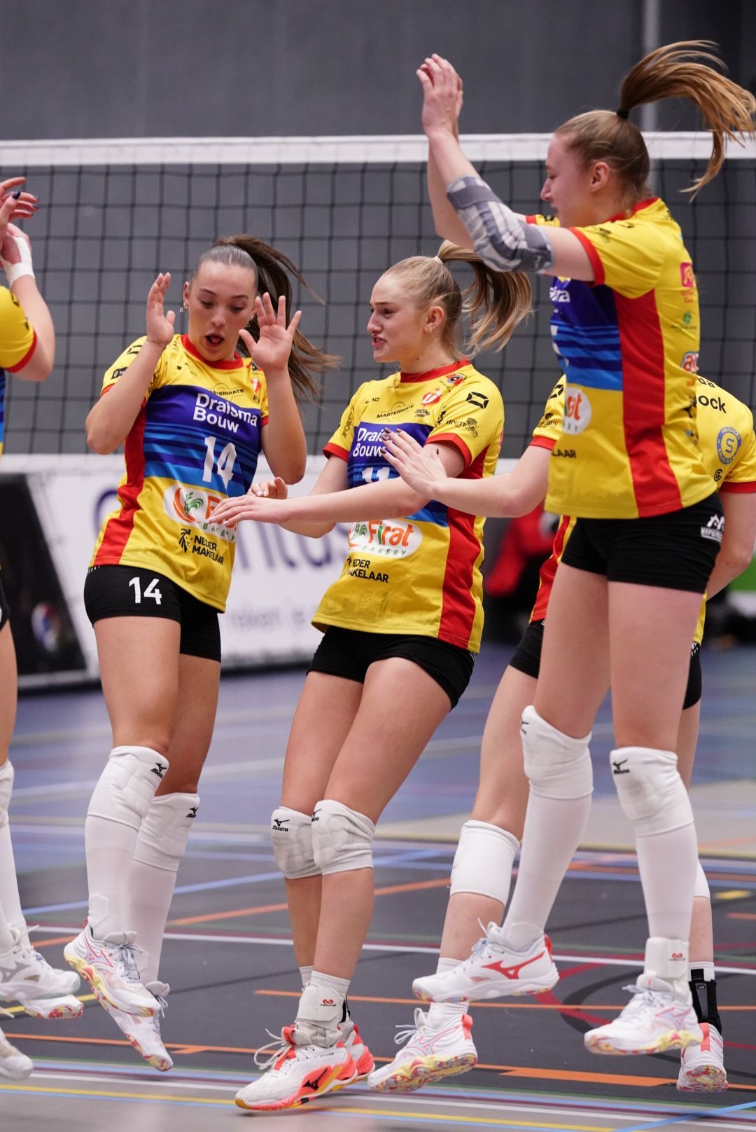©2026-Strikwerda Fotografie
Eredivisie volleybal 
Nevobo