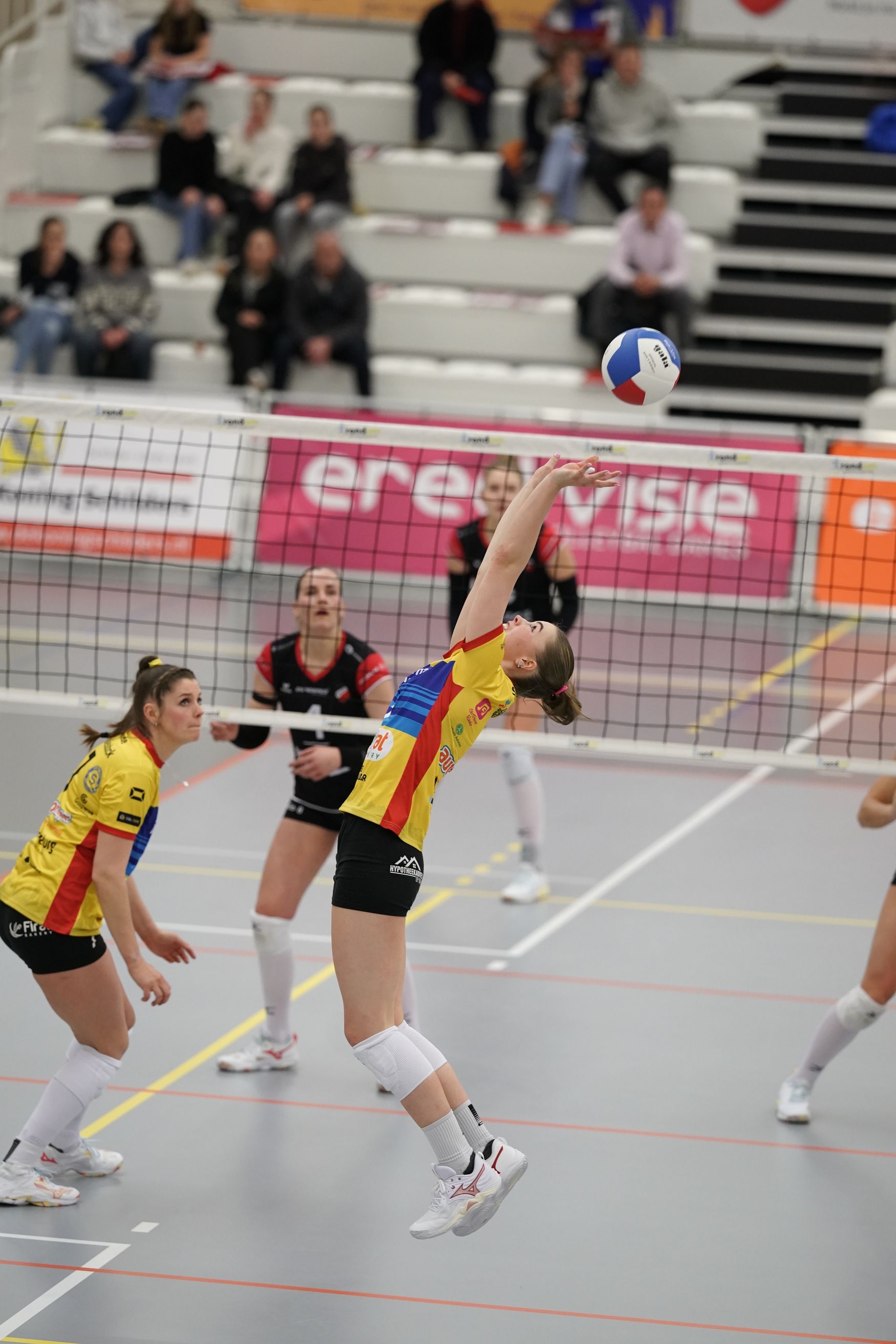 ©2026-Strikwerda Fotografie
Eredivisie volleybal 
Nevobo