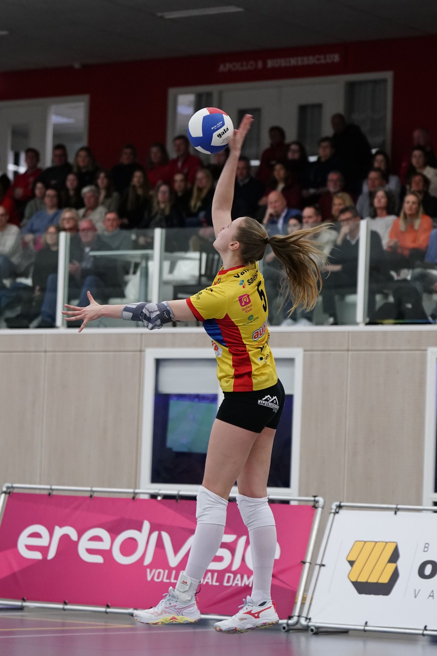 ©2026-Strikwerda Fotografie
Eredivisie volleybal 
Nevobo