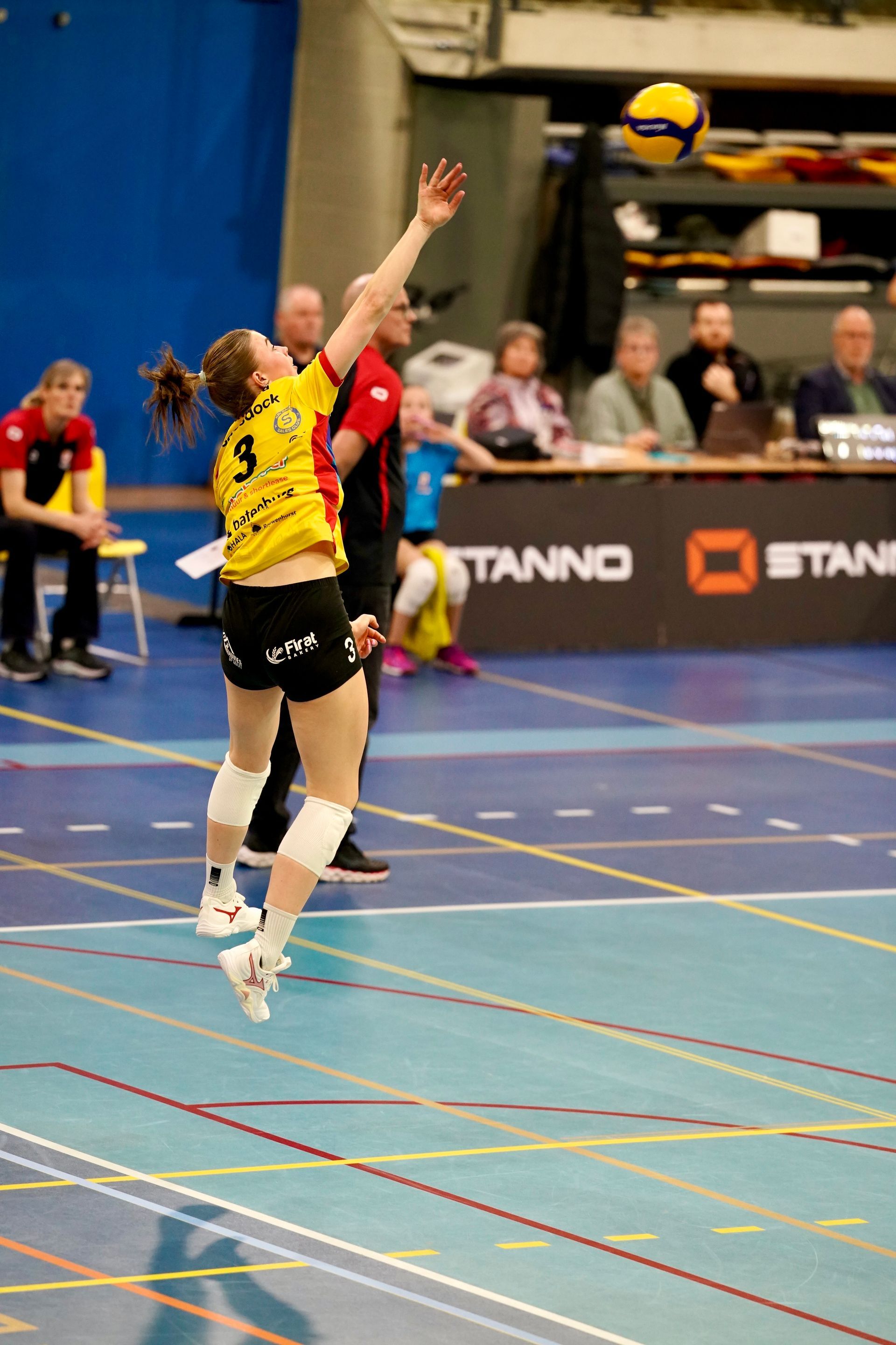 ©2026-Strikwerda Fotografie
Eredivisie volleybal 
Nevobo