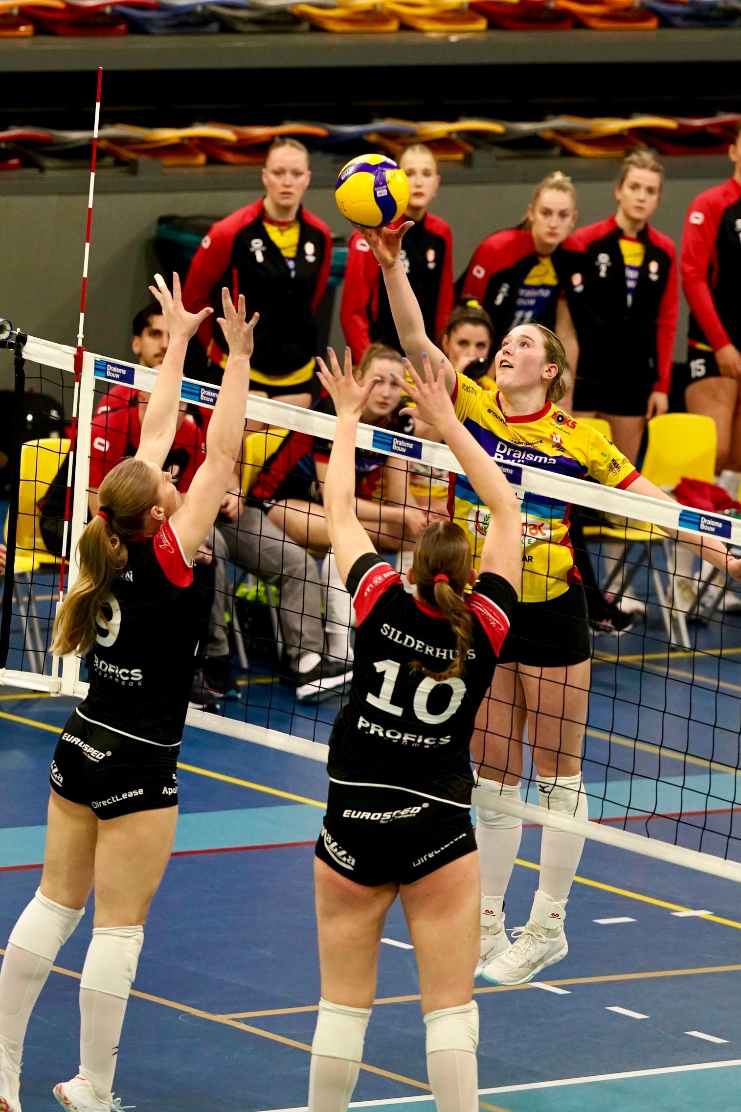 ©2026-Strikwerda Fotografie
Eredivisie volleybal 
Nevobo