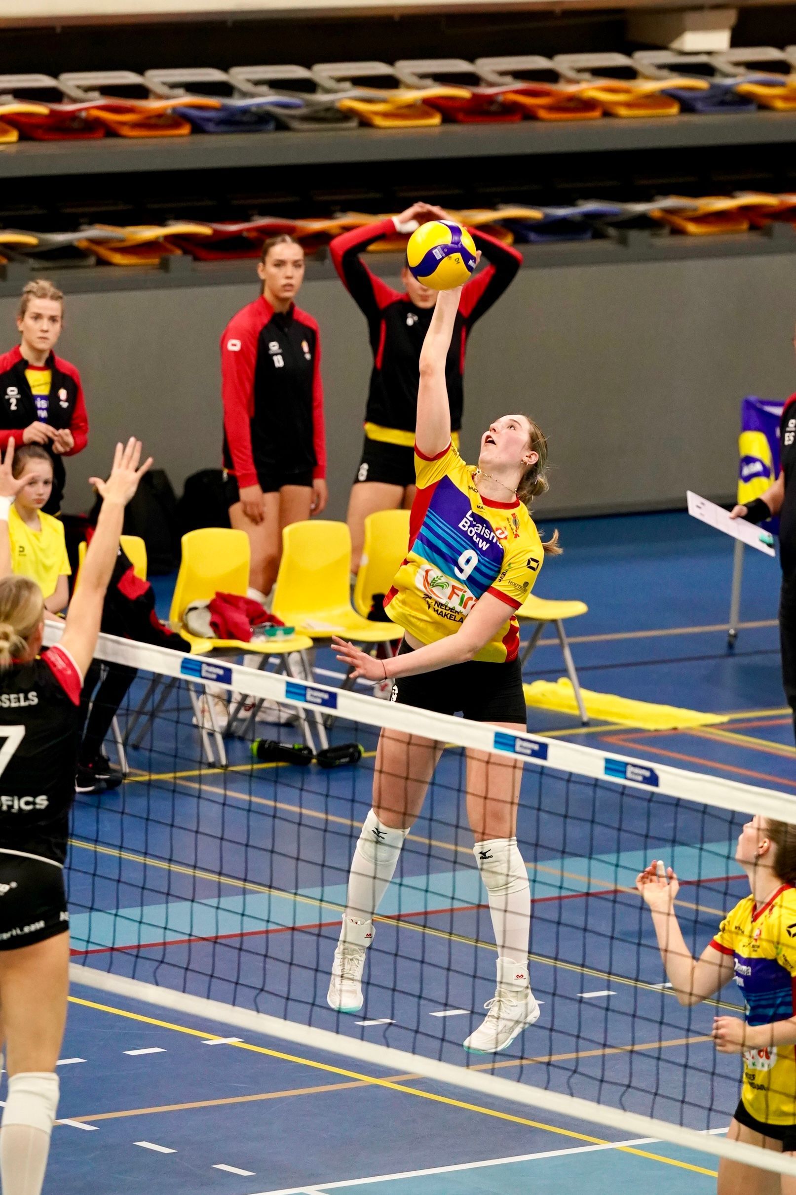 ©2026-Strikwerda Fotografie
Eredivisie volleybal 
Nevobo