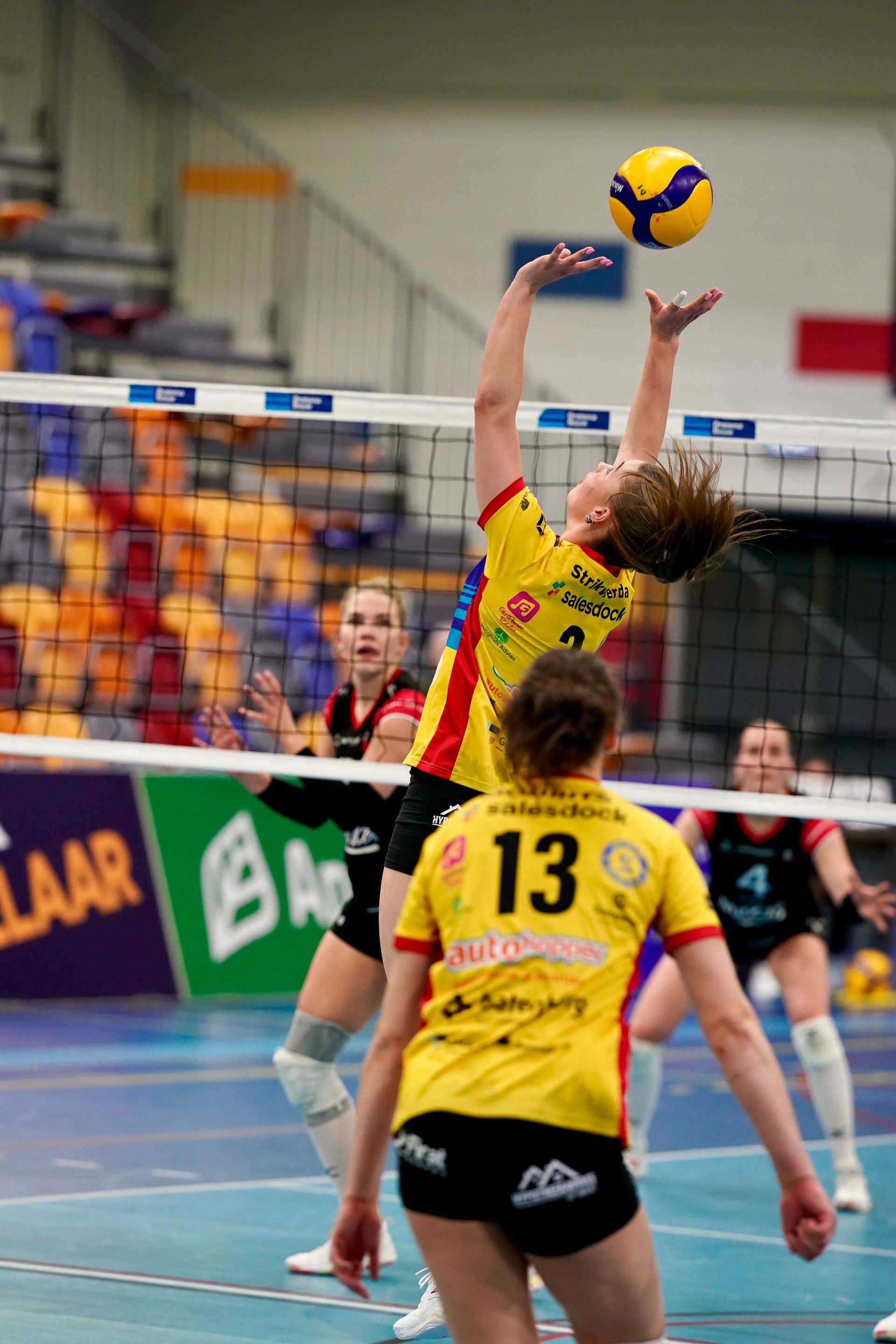 ©2026-Strikwerda Fotografie
Eredivisie volleybal 
Nevobo