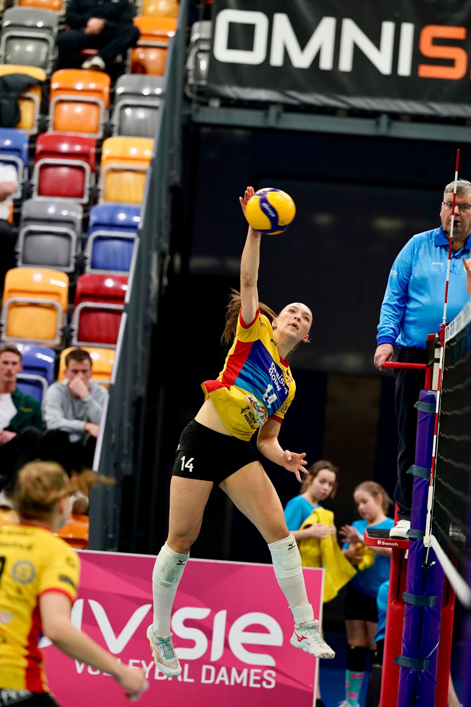 ©2026-Strikwerda Fotografie
Eredivisie volleybal 
Nevobo