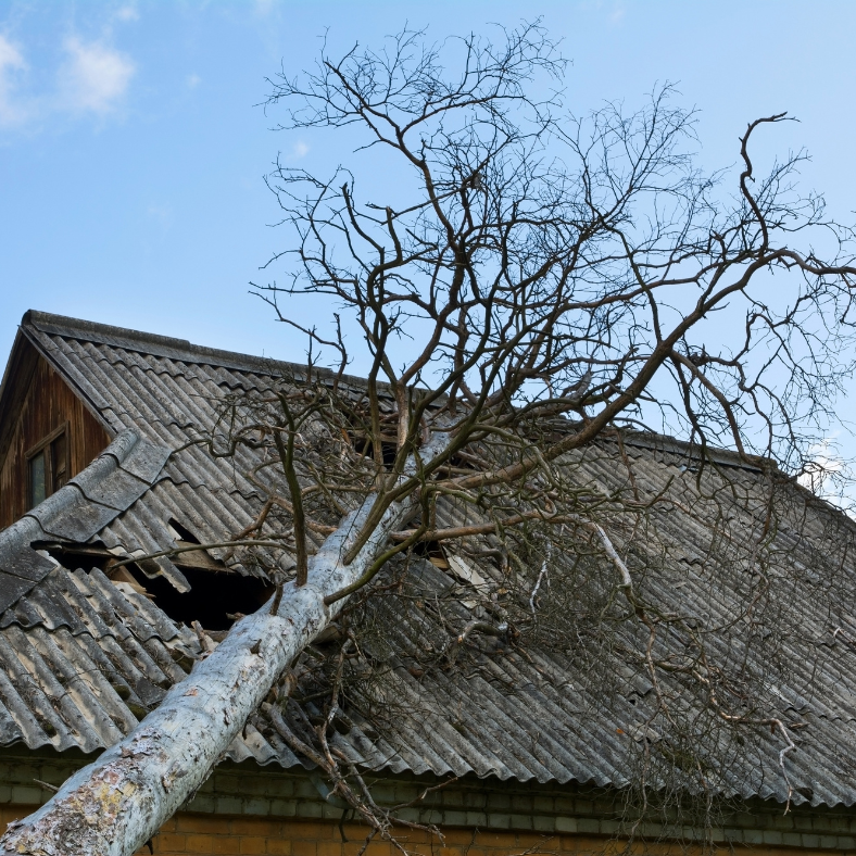 Have a damaged home to sell? We buy homes with damaged roofs, foundation issues, or major damage. No repairs needed.