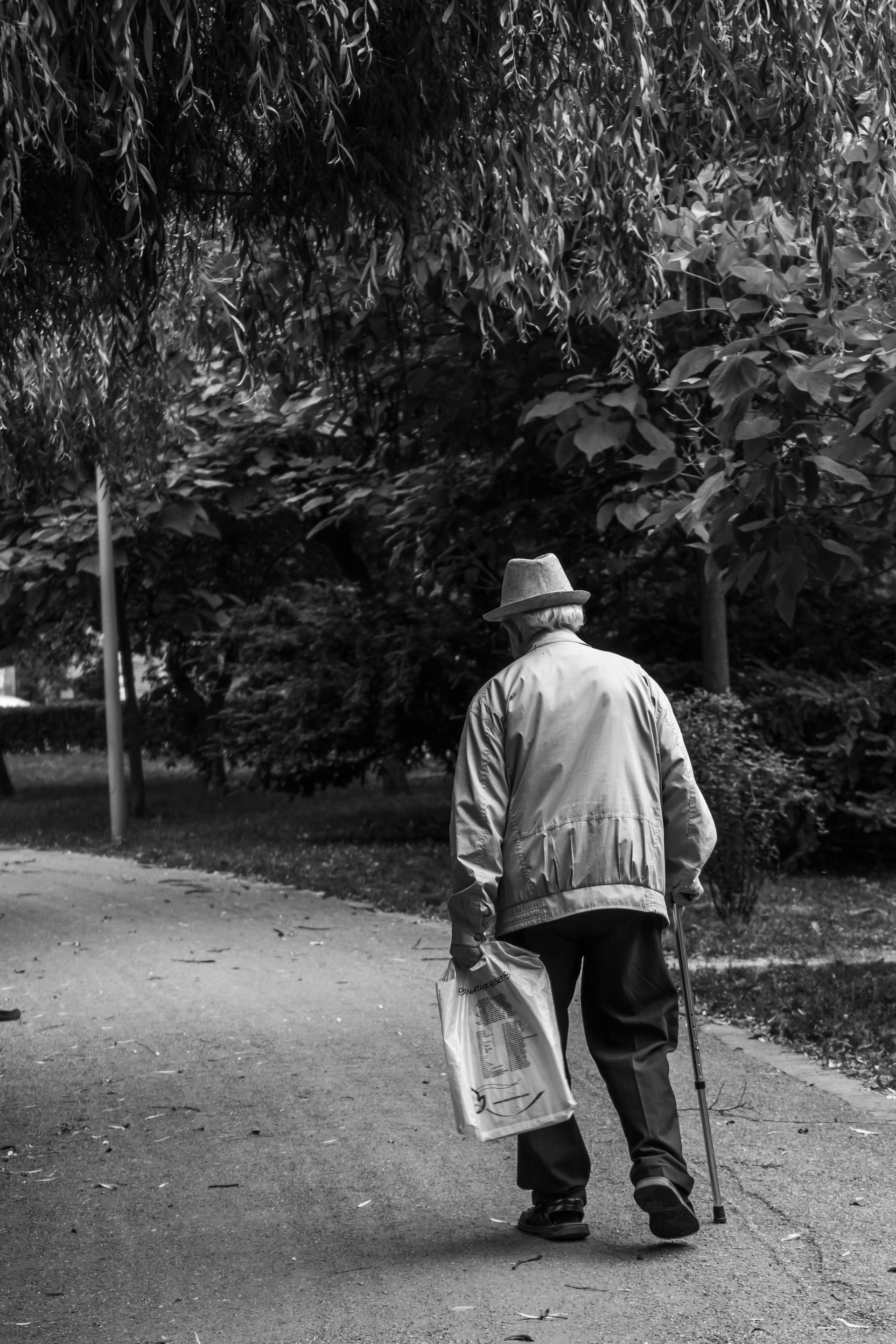 Elderly person walking with a cane, holding a bag, on a path in a park, under a weeping tree.