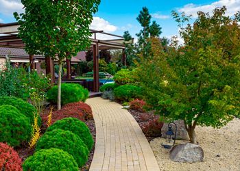A brick walkway surrounded by trees and bushes in a garden.