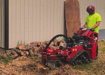 A man is using a stump grinder to remove a tree stump.