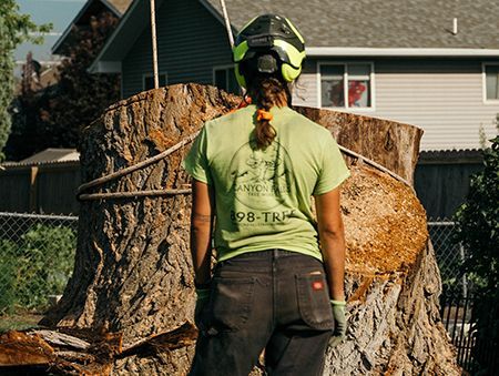 Woman arborist in safety gear stands before a large tree stump, wearing a green shirt and dark pants.