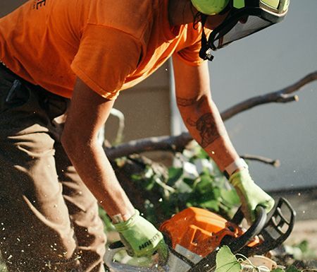 Arborist in orange shirt, protective gear, using a chainsaw to cut branches.