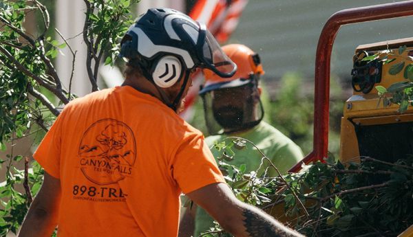 Two workers in safety gear using a wood chipper to process branches, orange and yellow equipment.