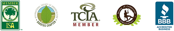 A tcia member logo is on a white background