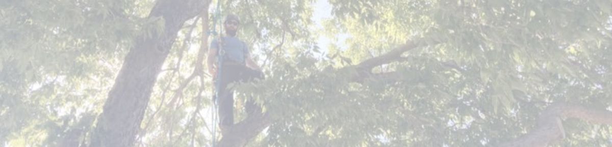 reviews background image