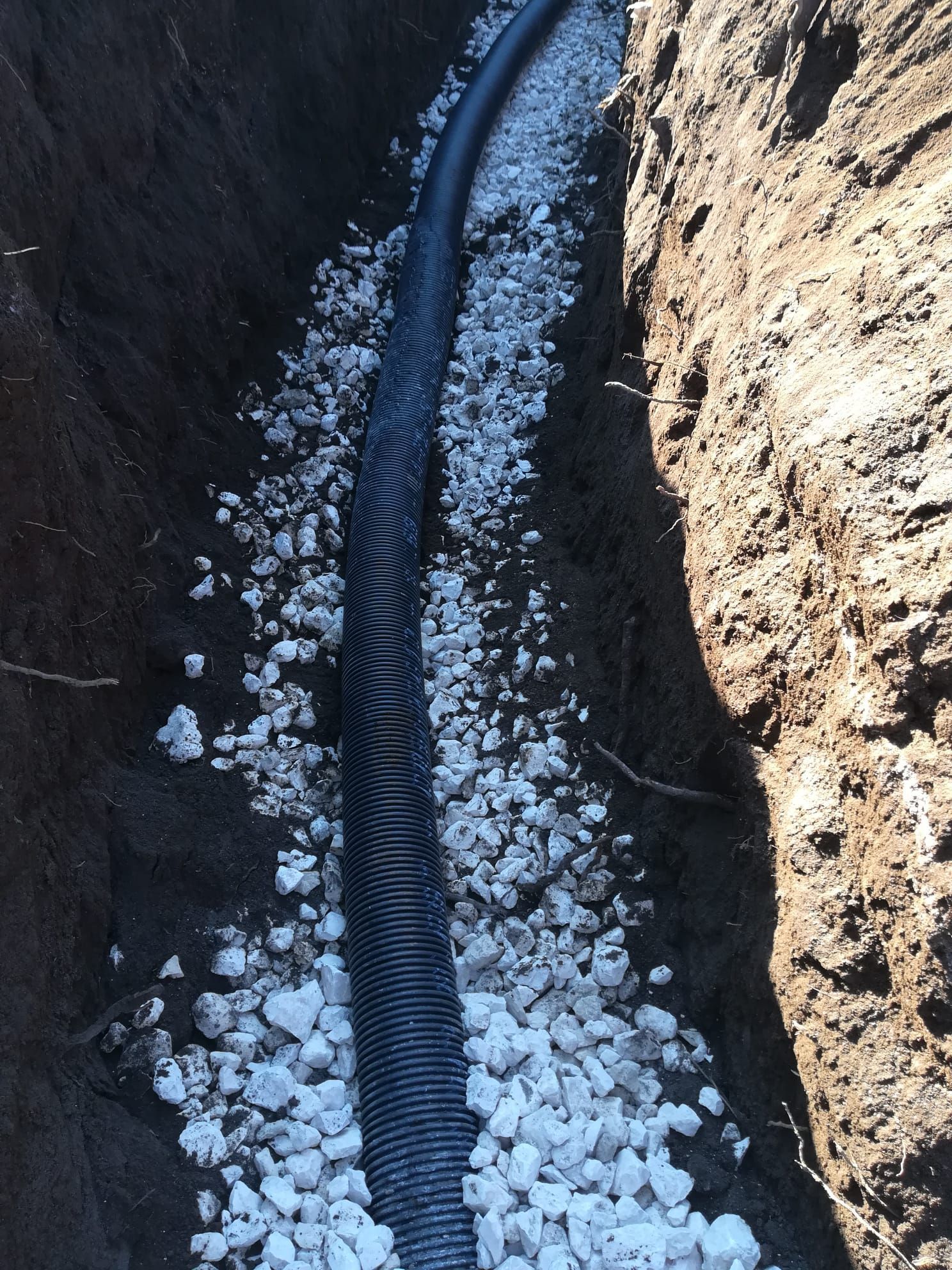 Un serpente nero striscia attraverso una stretta trincea di terra con ghiaia bianca tutt'intorno.