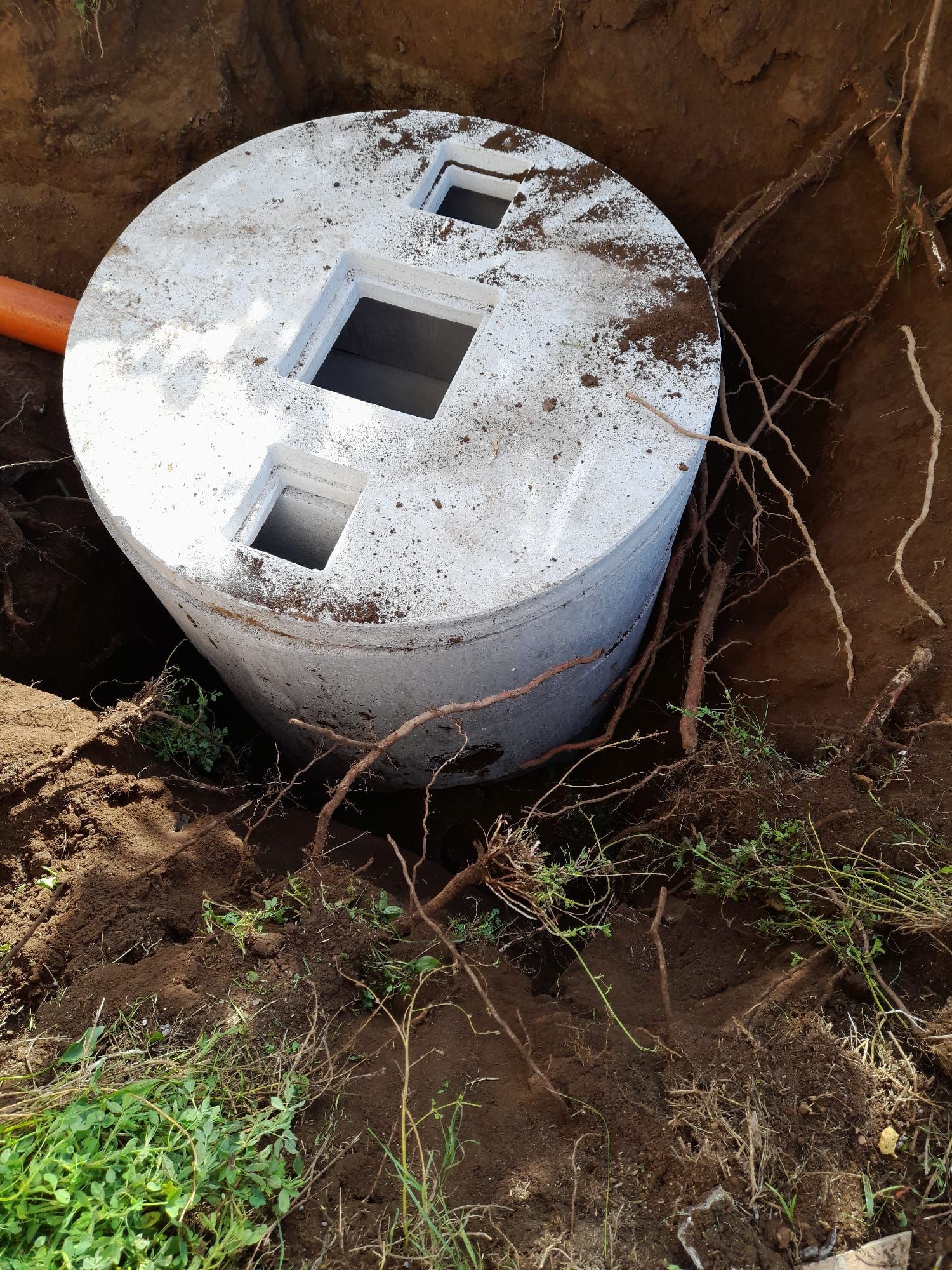 Serbatoio di cemento bianco interrato in una fossa, con due aperture quadrate sulla parte superiore e radici esposte nelle vicinanze.