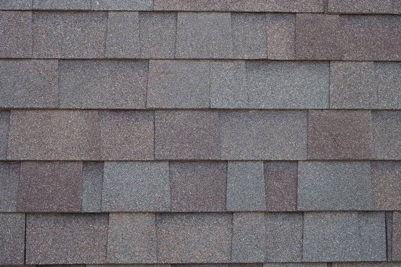 Architectural Shingles — Jacksonville, FL — SEC Construction