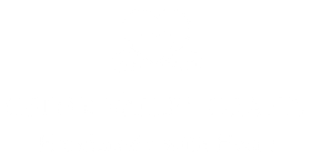 Blank white image with a thin black horizontal line near the bottom