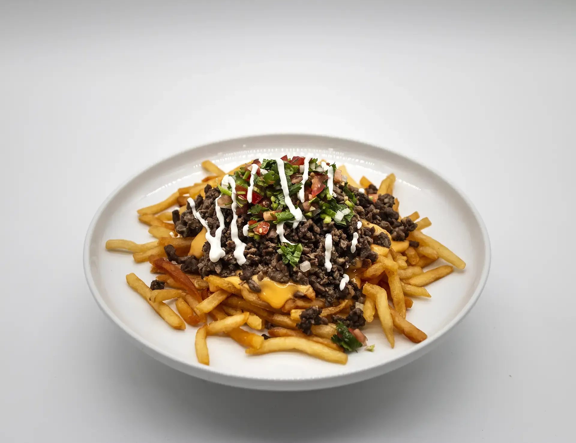 Fries topped with meat, salsa, and white sauce on a white plate.