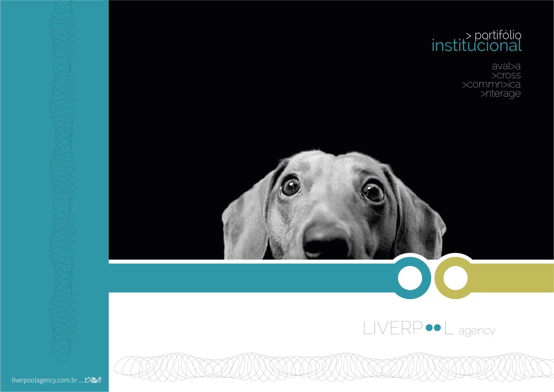 Uma foto em preto e branco de um cachorro olhando para a câmera