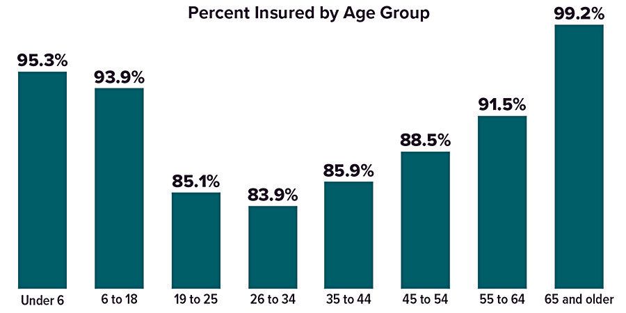 insured-age-group-chart