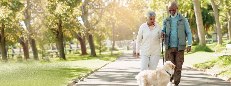 An elderly couple is walking a dog in a park.