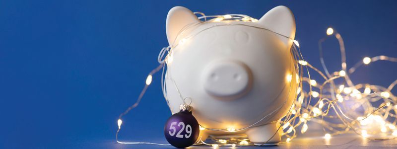 a piggy bank with a purple christmas ornament and a string of lights.