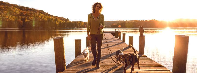 women-walking-dogs