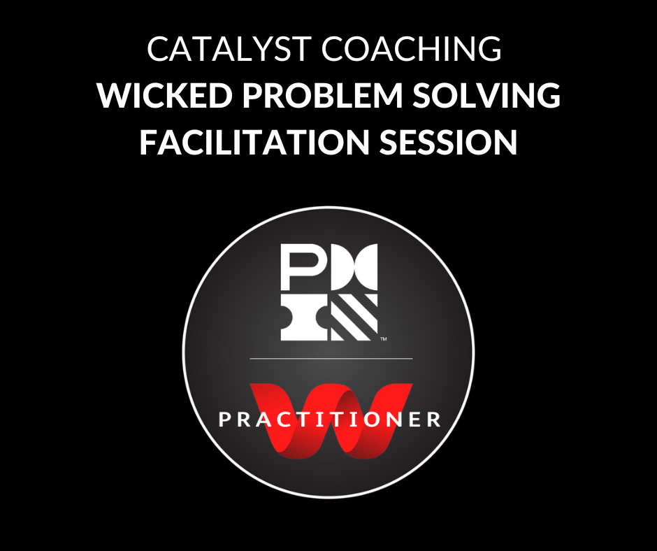Wicked Problem-Solving Facilitation Session