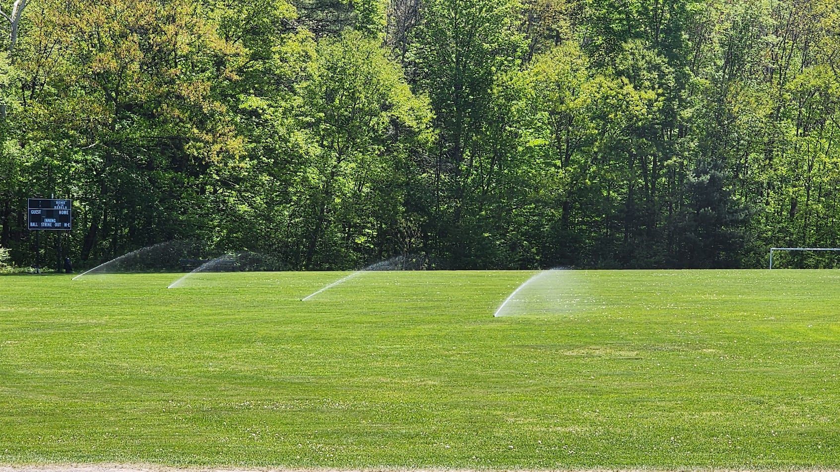 Sprinklers are spraying water on a lush green field.