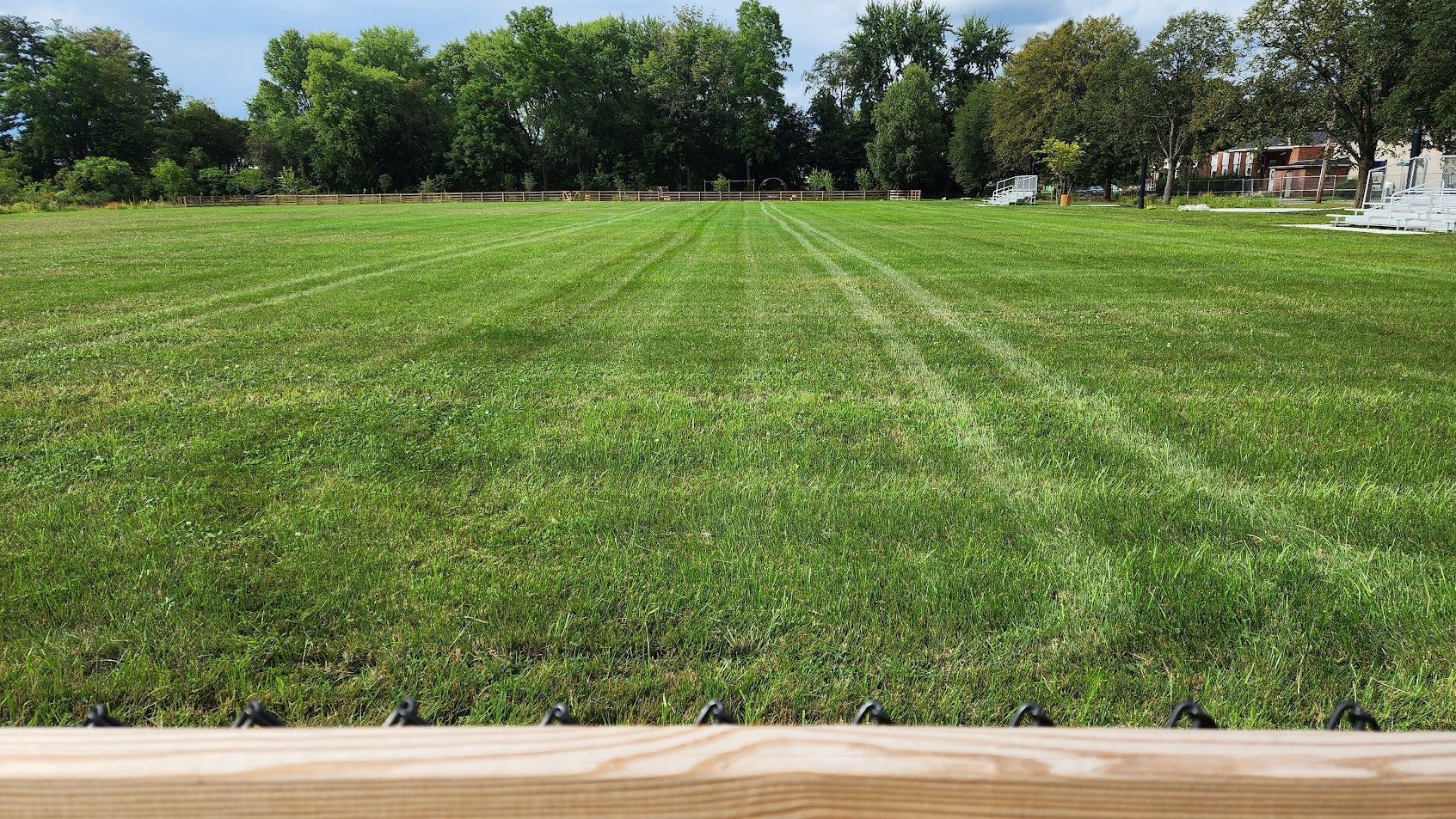 A lush green field with trees in the background and a wooden fence in the foreground.