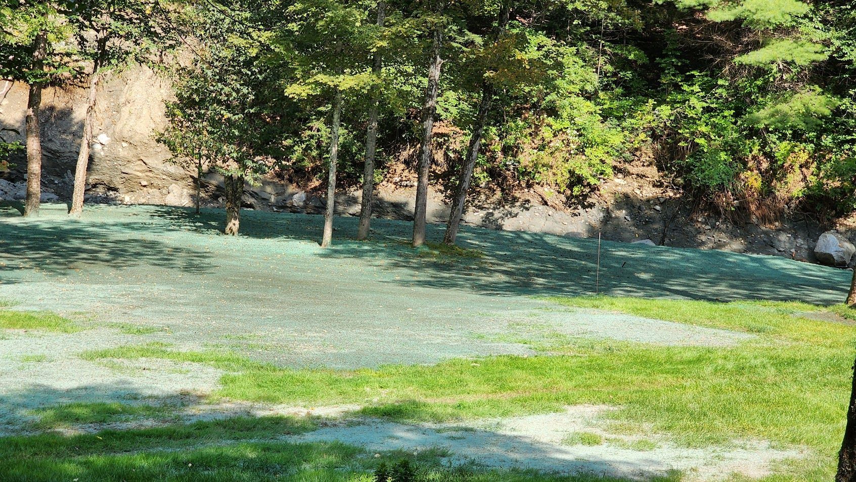 A person is standing in a grassy field with trees in the background.