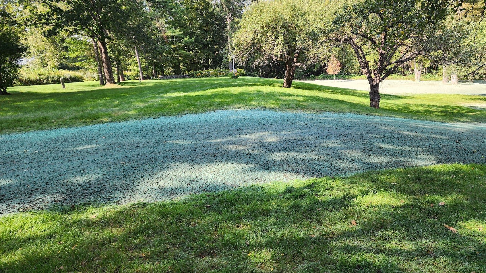 A lush green park with trees and a gravel path.