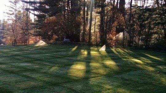 Lawn and chair — New Landscape Installation in Bellows Falls, VT