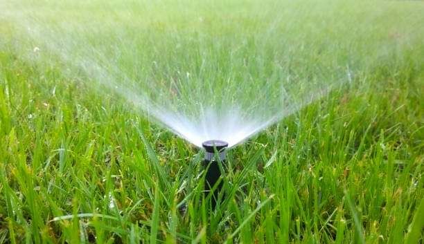 A sprinkler is spraying water on a lush green lawn.