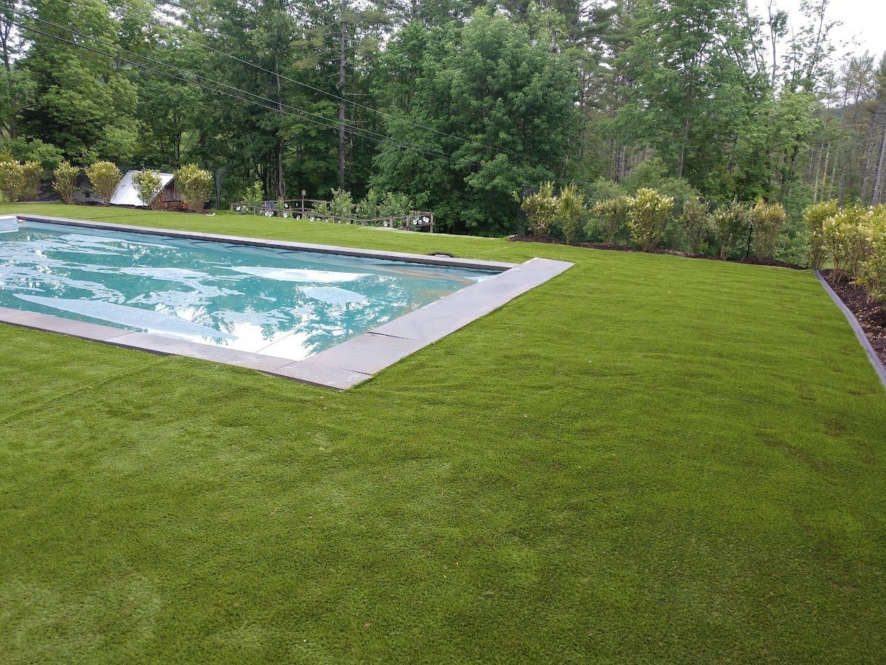 A large swimming pool is surrounded by lush green grass.