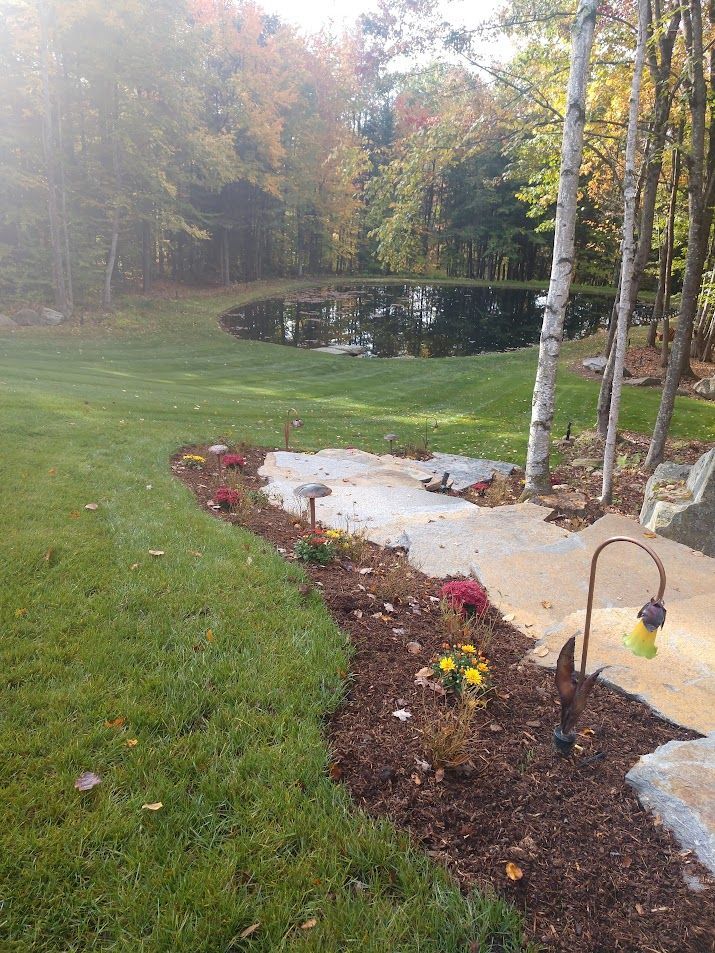 A lush green lawn with a pond in the background and a stone walkway leading to it.