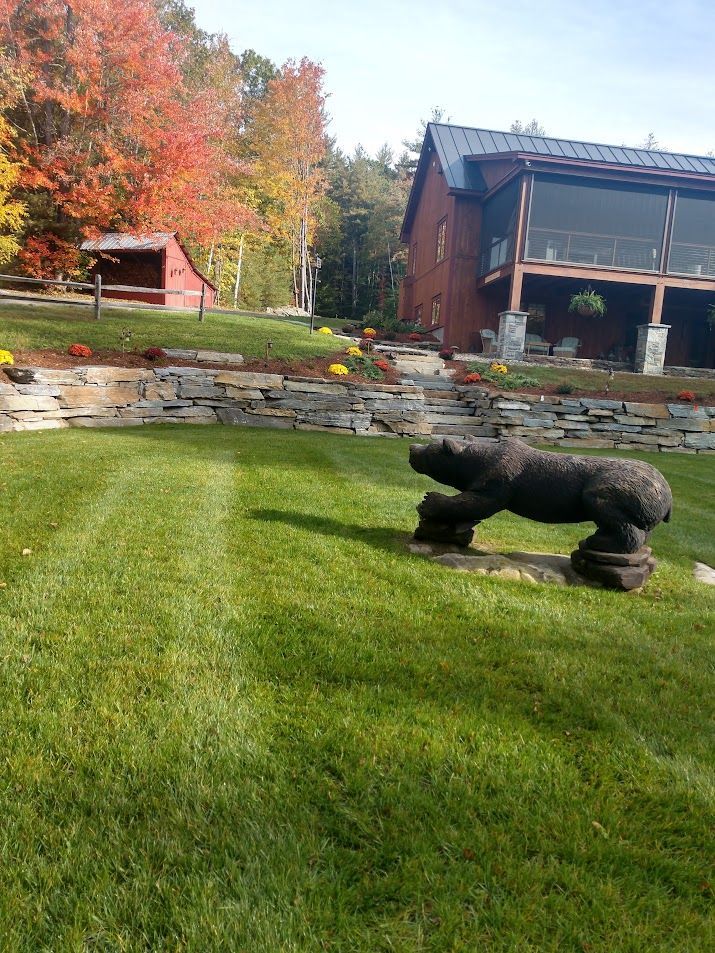 A statue of a bear is sitting in the grass in front of a house.