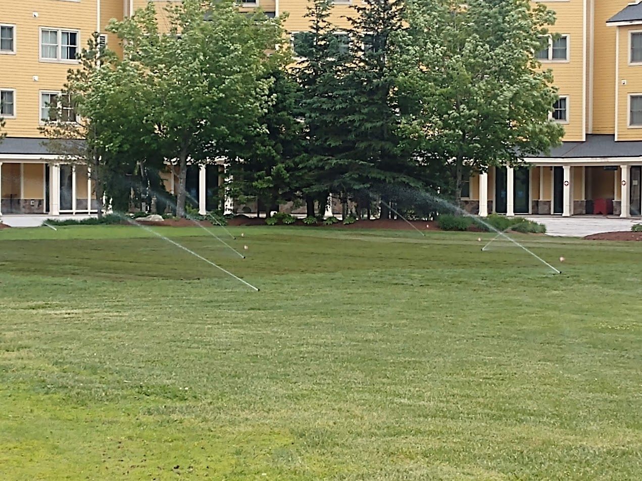 Sprinklers spraying water on a lush green field in front of a building