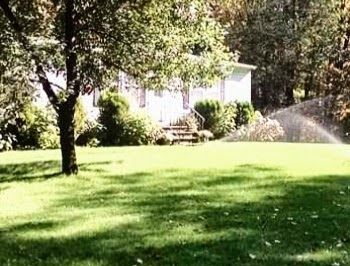 A sprinkler is spraying water on a lush green lawn in front of a house.