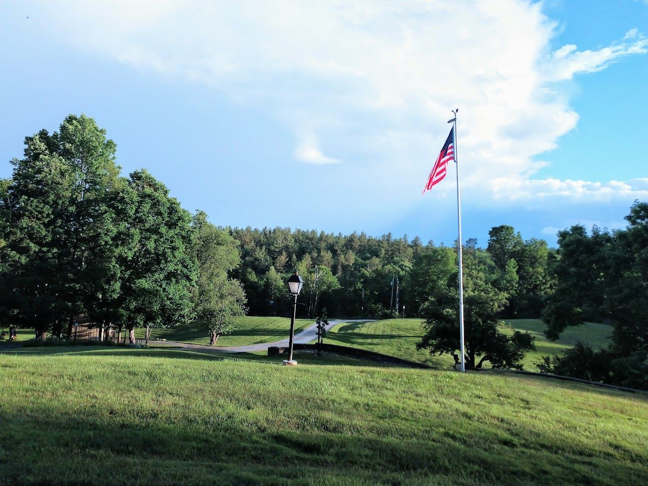 An american flag is flying in a field with trees in the background