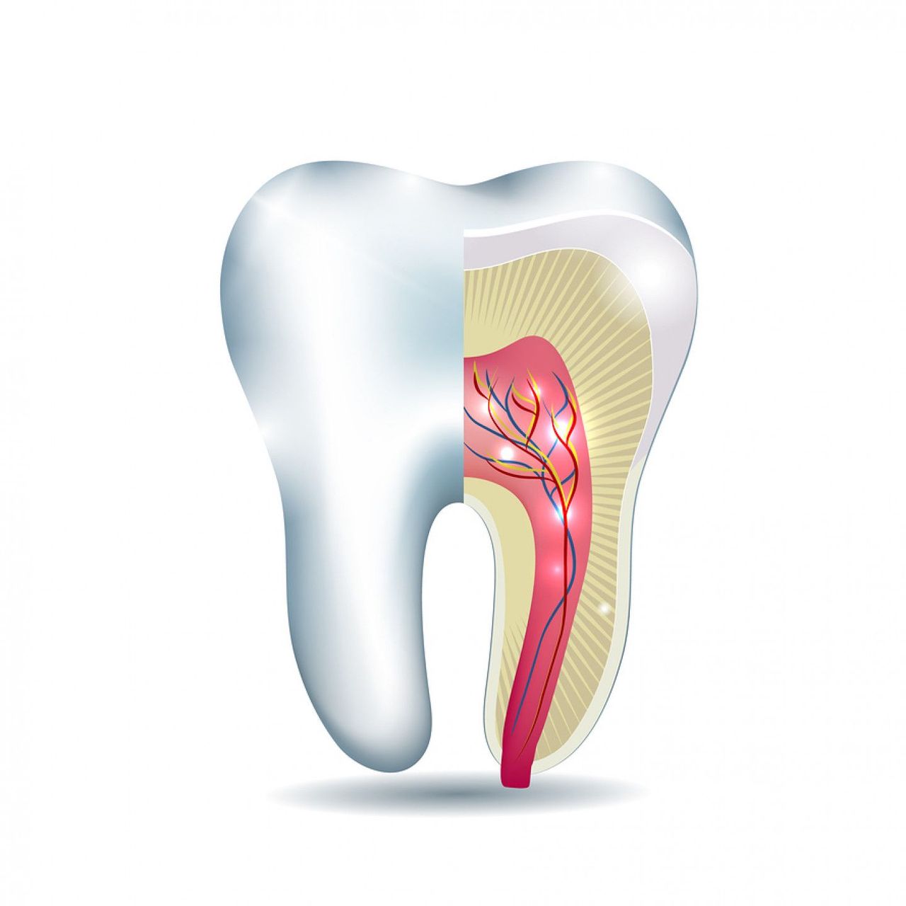 Endodontics | Riverfront Dental Care