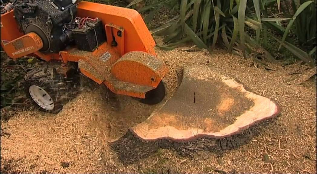 Orange stump grinder removing a tree stump, with sawdust and greenery in the background.