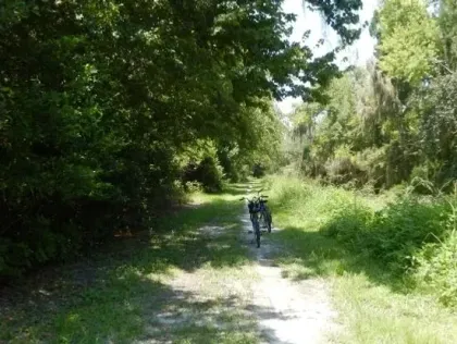 A person is riding a bike down a dirt path in the woods.